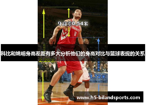 科比和姚明身高差距有多大分析他们的身高对比与篮球表现的关系
